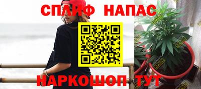 марихуана Новозыбков