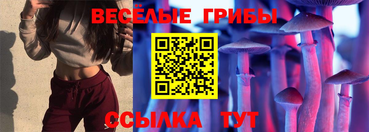 Псилоцибиновые грибы Psilocybine cubensis  Вход с VPN  Юрга 